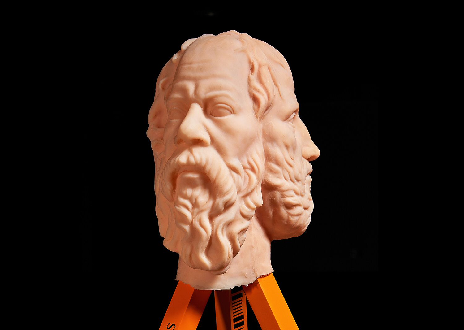 homo philosophicus-3.jpg